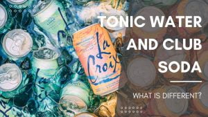 Differences Between Tonic Water and Club Soda