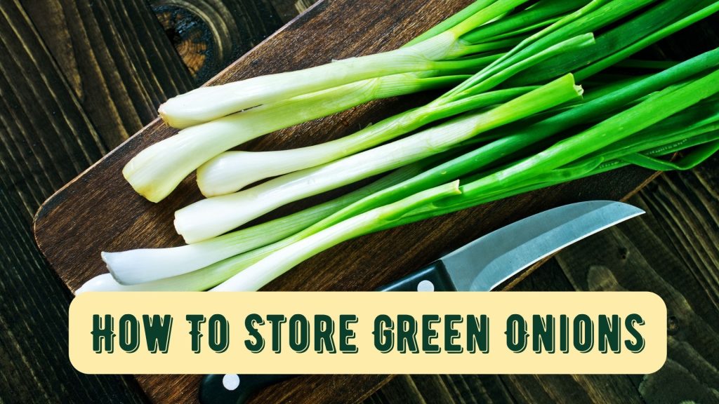 How To Store Green Onions