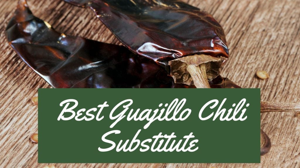 8 Best Guajillo Chili Substitute