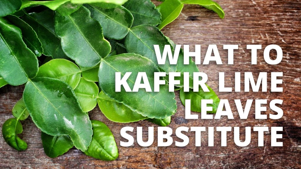 What to Kaffir Lime Leaves Substitute