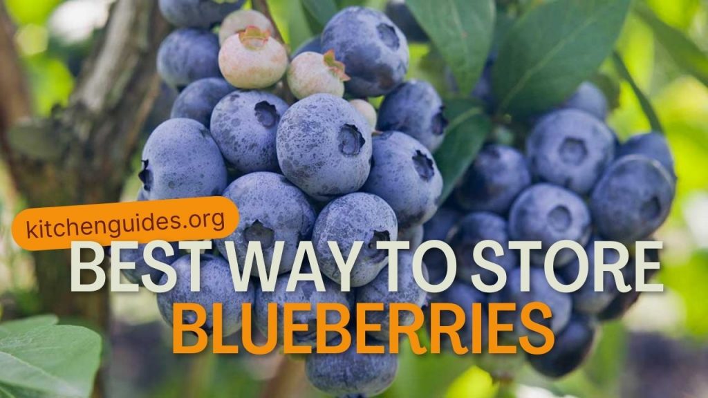 Best Way To Store Blueberries