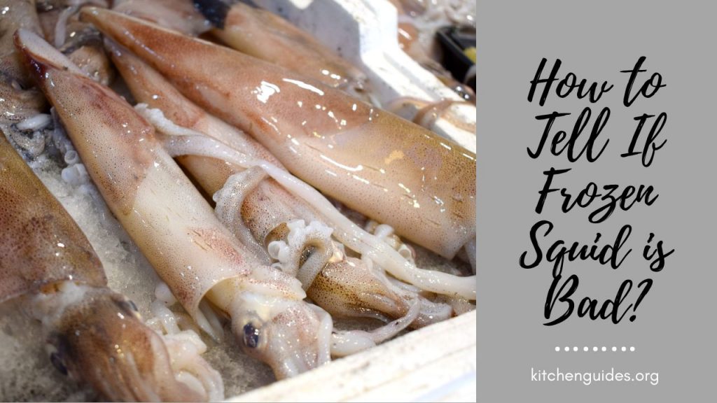 How to Tell If Frozen Squid is Bad?