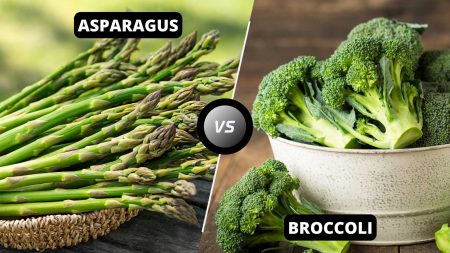 Asparagus vs Broccoli