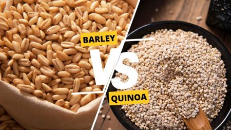 Barley vs Quinoa