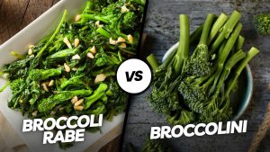Broccoli Rabe vs Broccolini