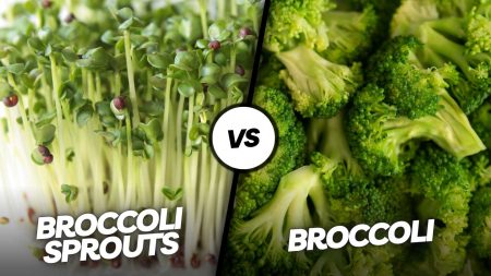 Broccoli Sprouts vs Broccoli