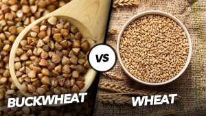 Buckwheat vs Wheat