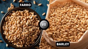 Farro vs Barley