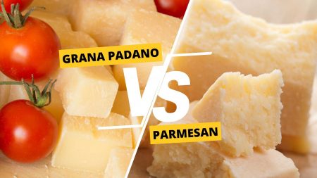 Grana Padano vs Parmesan