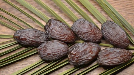 Substitutes for Medjool Dates