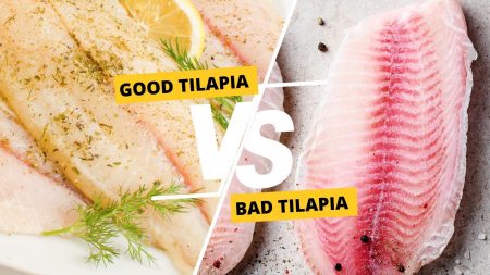 good vs bad tilapia