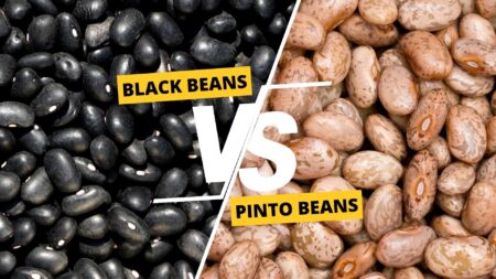 Black Beans vs Pinto Beans