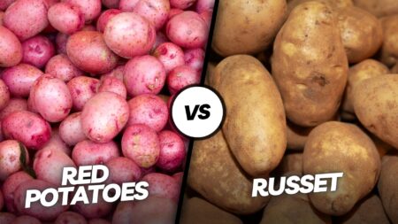 Red Potatoes vs Russet