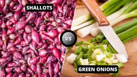 Shallots vs Green Onions