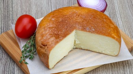 Substitutes for Sulguni Cheese