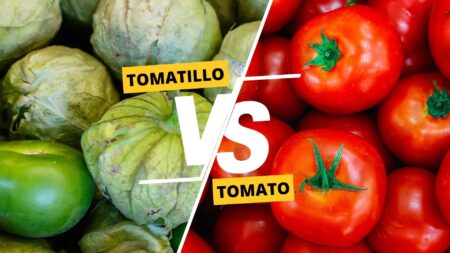 Tomatillo vs Tomato
